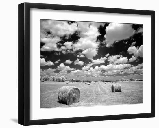 A Hayfield with Summer Clouds-Rip Smith-Framed Photographic Print