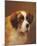 A Head of a Saint Bernard-P Magee-Mounted Giclee Print