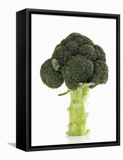 A Head of Broccoli-Dieter Heinemann-Framed Premier Image Canvas