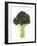 A Head of Broccoli-Dieter Heinemann-Framed Photographic Print