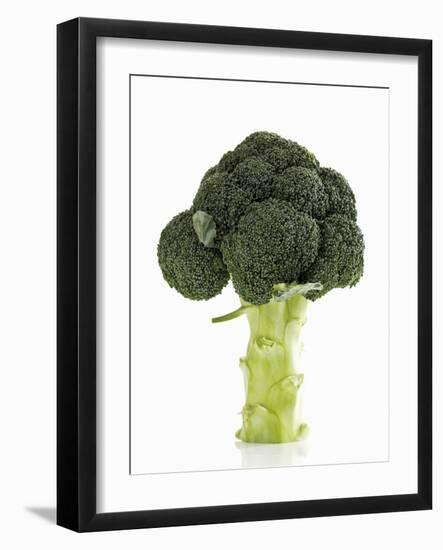 A Head of Broccoli-Dieter Heinemann-Framed Photographic Print