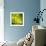 A Head of Romanesco-Steven Morris-Framed Photographic Print displayed on a wall