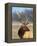 A Head Portrait of a Stunning Elk-John Alves-Framed Premier Image Canvas