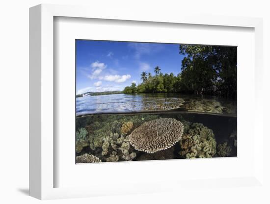 A Healthy Coral Reef Grows in the Solomon Islands-Stocktrek Images-Framed Photographic Print