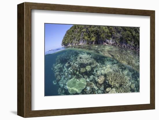 A Healthy Coral Reef Grows Near Limestone Islands in Raja Ampat-Stocktrek Images-Framed Photographic Print