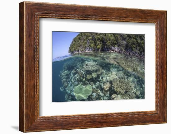 A Healthy Coral Reef Grows Near Limestone Islands in Raja Ampat-Stocktrek Images-Framed Photographic Print