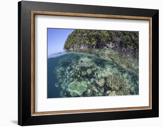 A Healthy Coral Reef Grows Near Limestone Islands in Raja Ampat-Stocktrek Images-Framed Photographic Print