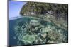 A Healthy Coral Reef Grows Near Limestone Islands in Raja Ampat-Stocktrek Images-Mounted Photographic Print