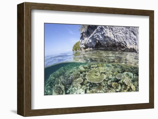 A Healthy Coral Reef Grows Near Limestone Islands in Raja Ampat-Stocktrek Images-Framed Photographic Print