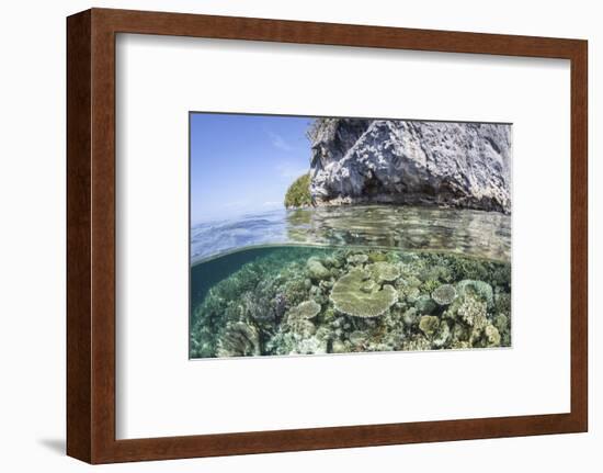 A Healthy Coral Reef Grows Near Limestone Islands in Raja Ampat-Stocktrek Images-Framed Photographic Print