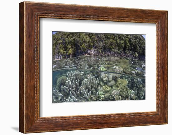 A Healthy Coral Reef Grows Near Limestone Islands in Raja Ampat-Stocktrek Images-Framed Photographic Print