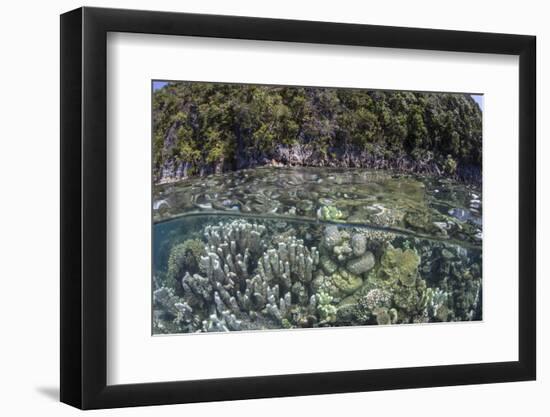 A Healthy Coral Reef Grows Near Limestone Islands in Raja Ampat-Stocktrek Images-Framed Photographic Print