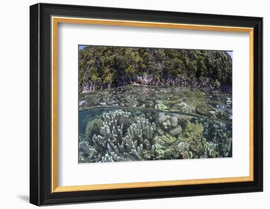 A Healthy Coral Reef Grows Near Limestone Islands in Raja Ampat-Stocktrek Images-Framed Photographic Print
