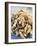 A Heap of Shelled Walnuts-null-Framed Photographic Print