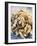 A Heap of Shelled Walnuts-null-Framed Photographic Print