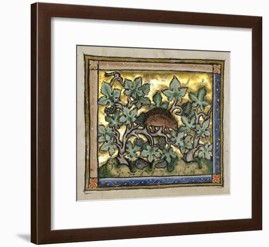 A Hedgehog (detail)-Franco-Flemish 13th Century-Framed Art Print