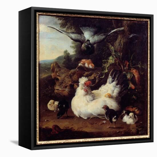 A Hen and Her Chicks Painting by Melchior Hondecoeter (1636-1695) 17Th Century Caen, Museum of Fine-Melchior de Hondecoeter-Framed Premier Image Canvas