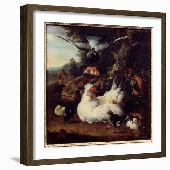 A Hen and Her Chicks Painting by Melchior Hondecoeter (1636-1695) 17Th Century Caen, Museum of Fine-Melchior de Hondecoeter-Framed Giclee Print
