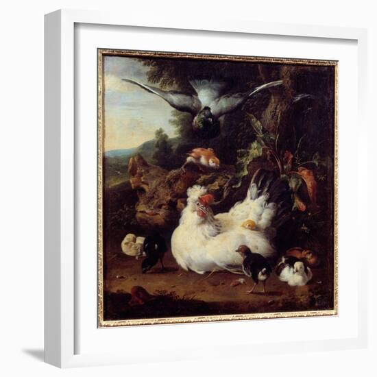 A Hen and Her Chicks Painting by Melchior Hondecoeter (1636-1695) 17Th Century Caen, Museum of Fine-Melchior de Hondecoeter-Framed Giclee Print