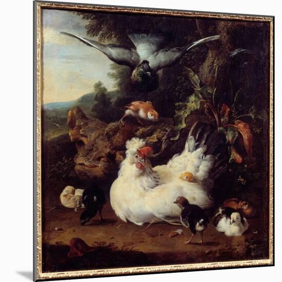 A Hen and Her Chicks Painting by Melchior Hondecoeter (1636-1695) 17Th Century Caen, Museum of Fine-Melchior de Hondecoeter-Mounted Giclee Print