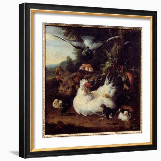 A Hen and Her Chicks Painting by Melchior Hondecoeter (1636-1695) 17Th Century Caen, Museum of Fine-Melchior de Hondecoeter-Framed Giclee Print