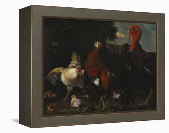 A Hen, Rooster and Turkey in a Farmyard-Melchior de Hondecoeter-Framed Premier Image Canvas