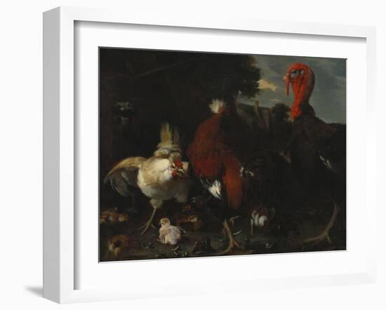 A Hen, Rooster and Turkey in a Farmyard-Melchior de Hondecoeter-Framed Giclee Print