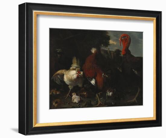 A Hen, Rooster and Turkey in a Farmyard-Melchior de Hondecoeter-Framed Giclee Print