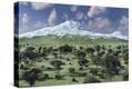 Stretched Canvas Print