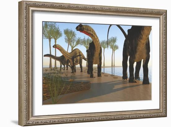 A Herd of Apatosaurus Dinosaurs-null-Framed Premium Giclee Print
