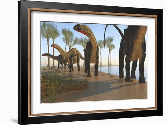A Herd of Apatosaurus Dinosaurs-null-Framed Premium Giclee Print