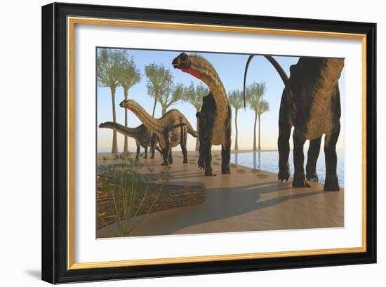 A Herd of Apatosaurus Dinosaurs-null-Framed Premium Giclee Print