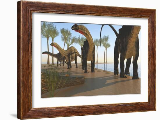 A Herd of Apatosaurus Dinosaurs-null-Framed Art Print