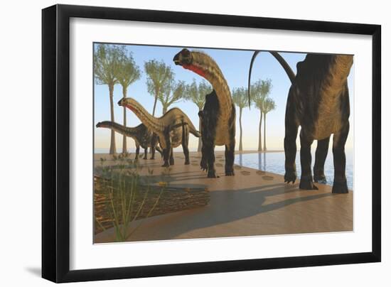 A Herd of Apatosaurus Dinosaurs-null-Framed Art Print