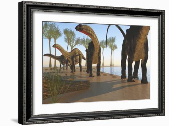 A Herd of Apatosaurus Dinosaurs-null-Framed Art Print