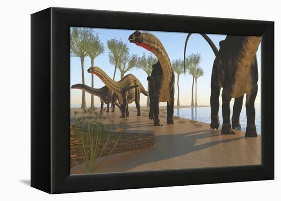 A Herd of Apatosaurus Dinosaurs-null-Framed Stretched Canvas