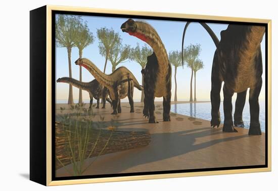 A Herd of Apatosaurus Dinosaurs-null-Framed Stretched Canvas