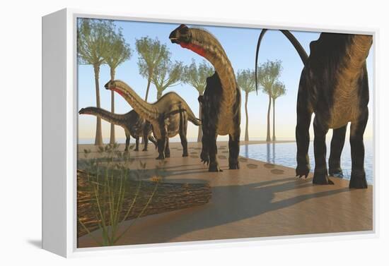 A Herd of Apatosaurus Dinosaurs-null-Framed Stretched Canvas