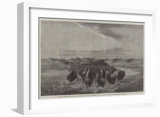 A Herd of Bisons Crossing a River Bottom on the Upper Missouri-William Jacob Hays-Framed Giclee Print