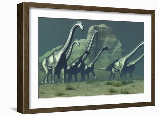 A Herd of Brachiosaurus Dinosaurs Pass a High Bluff-Stocktrek Images-Framed Art Print