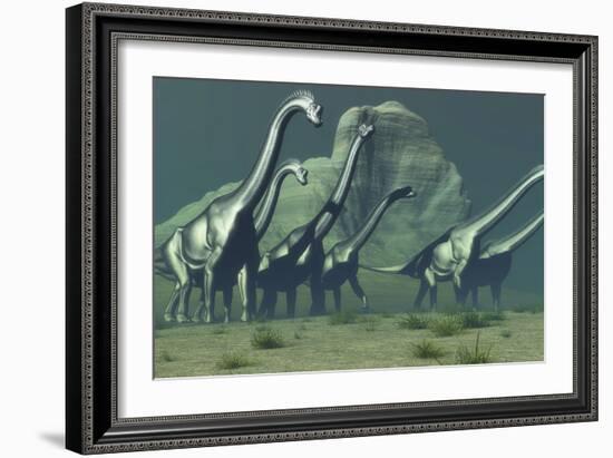 A Herd of Brachiosaurus Dinosaurs Pass a High Bluff-Stocktrek Images-Framed Art Print
