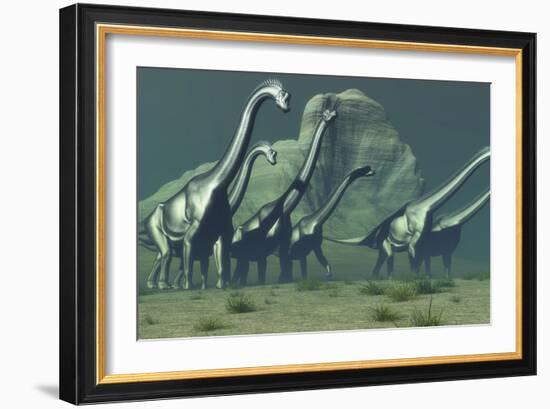 A Herd of Brachiosaurus Dinosaurs Pass a High Bluff-Stocktrek Images-Framed Art Print