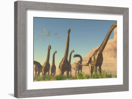 A Herd of Brachiosaurus Travel Near a Canyon Mountain-Stocktrek Images-Framed Art Print