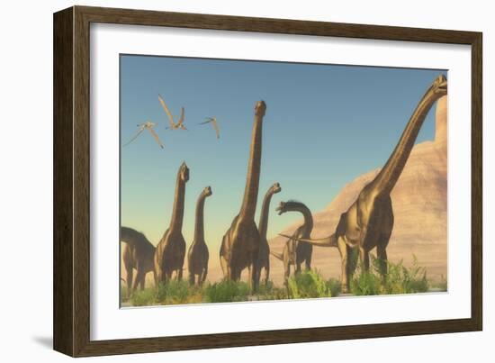 A Herd of Brachiosaurus Travel Near a Canyon Mountain-Stocktrek Images-Framed Art Print