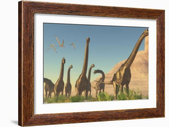 A Herd of Brachiosaurus Travel Near a Canyon Mountain-Stocktrek Images-Framed Art Print