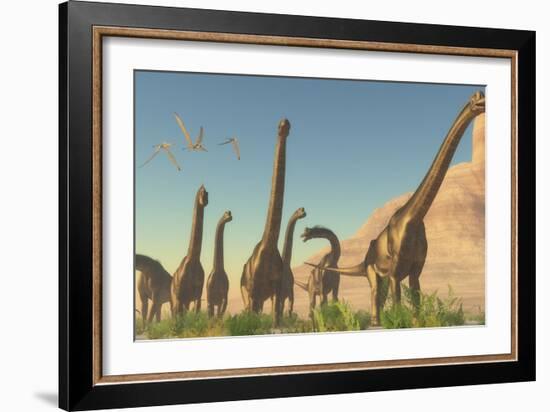 A Herd of Brachiosaurus Travel Near a Canyon Mountain-Stocktrek Images-Framed Art Print