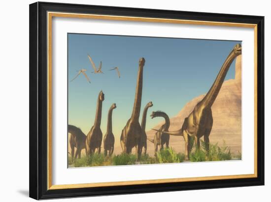 A Herd of Brachiosaurus Travel Near a Canyon Mountain-Stocktrek Images-Framed Art Print