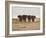 A Herd of Bull Elephants in Etosha National Park-Alex Saberi-Framed Photographic Print