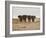 A Herd of Bull Elephants in Etosha National Park-Alex Saberi-Framed Photographic Print