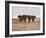 A Herd of Bull Elephants in Etosha National Park-Alex Saberi-Framed Photographic Print